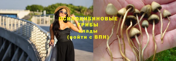 эйфоретик Нея
