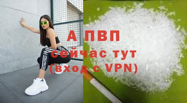 эйфоретик Нея