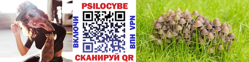 Псилоцибиновые грибы ЛСД  купить   Шарья 