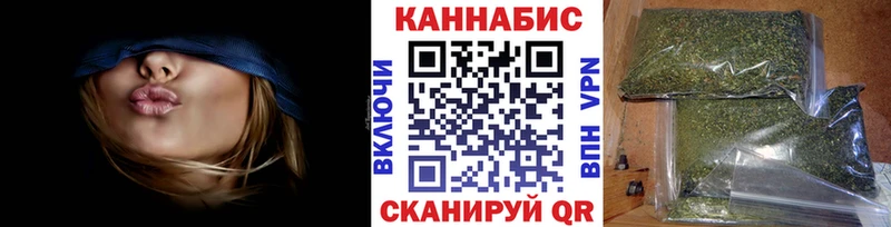 Каннабис план  Шарья 